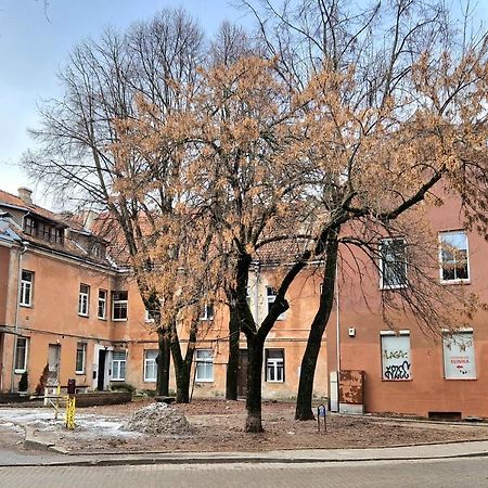 Апартаменти Cozy Studio In Heart Of Old Town Вільнюс Екстер'єр фото