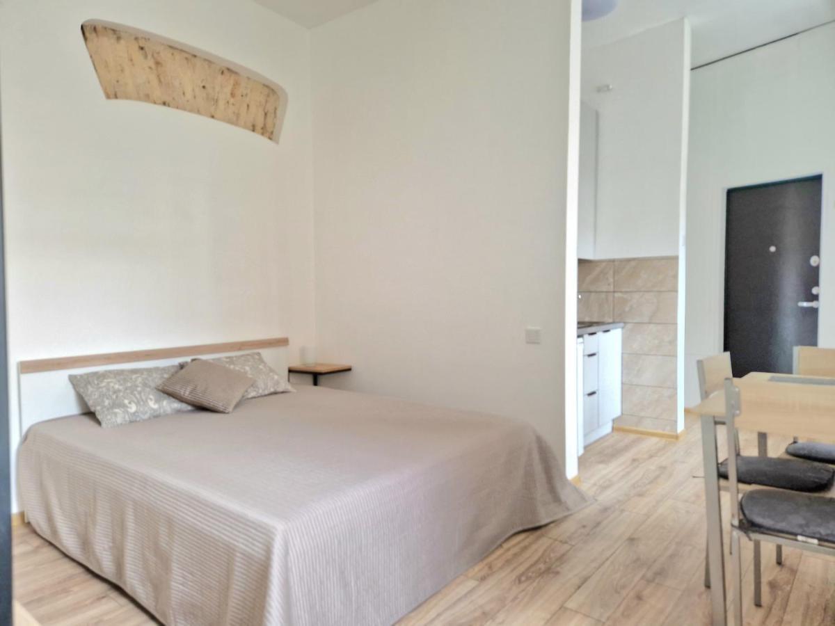 Апартаменти Cozy Studio In Heart Of Old Town Вільнюс Екстер'єр фото